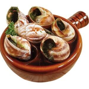 Vintage MCM Retro Ceramic Stoneware Brown Elegant Escargot Dishes Plates Set